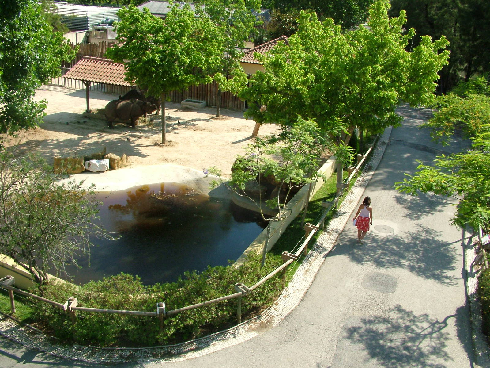 Indian Rhino Paddock at Lisbon Zoo, 24/05/11