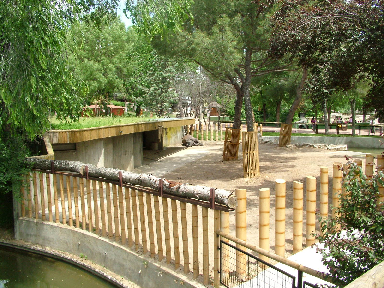 Indian Rhino Paddock at Madrid Zoo Aquarium, 26/05/11