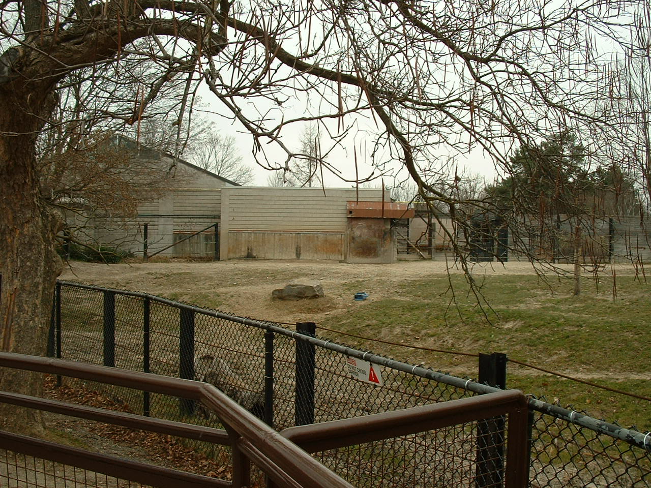 Indian Rhino Paddock & House - Nov 2012