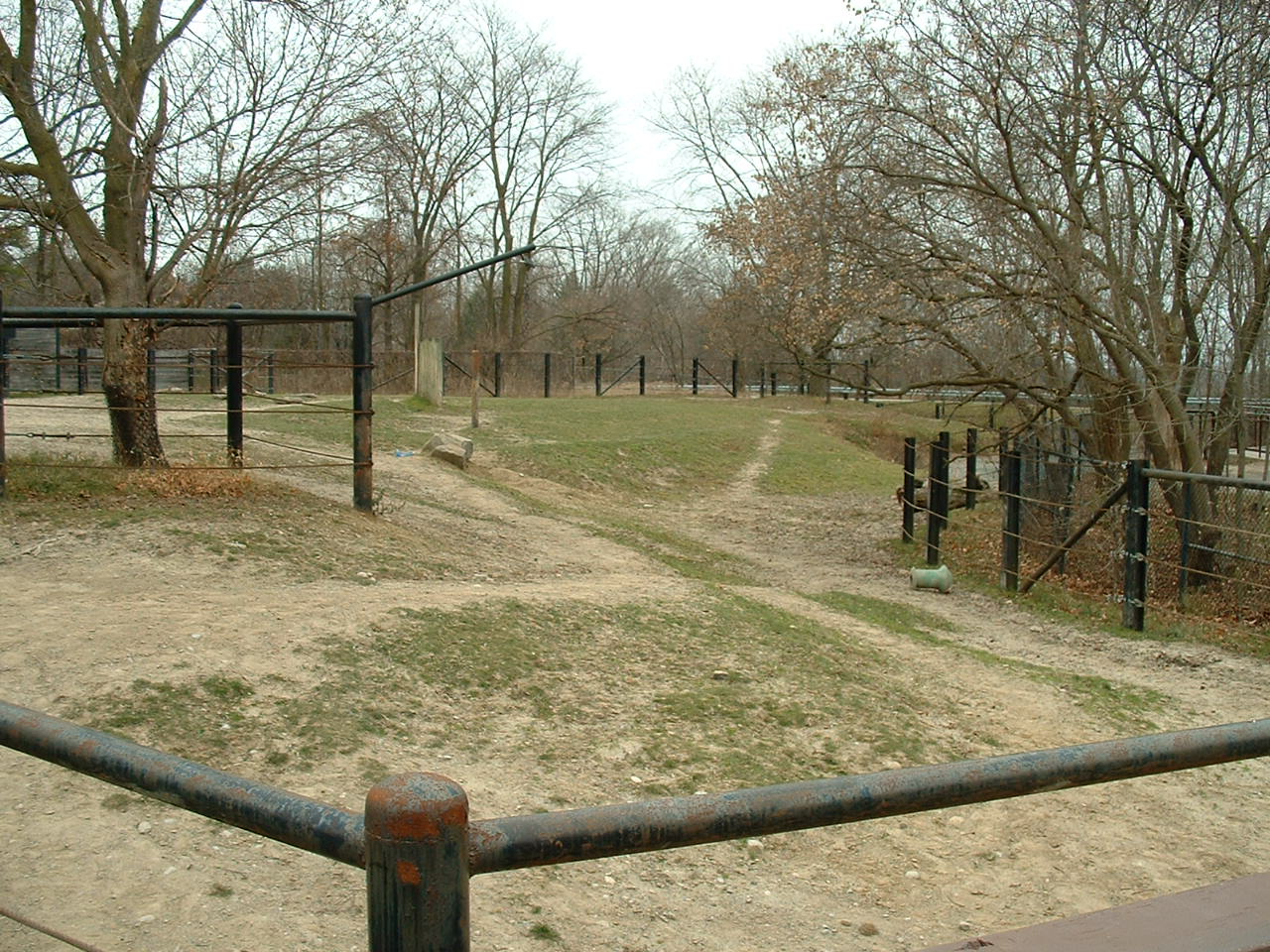 Indian Rhino Paddock - Nov 2012