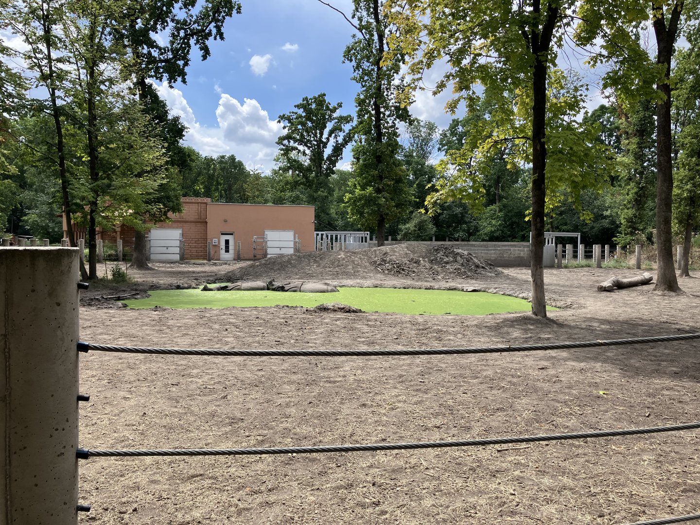 Indian rhino paddock-part 1