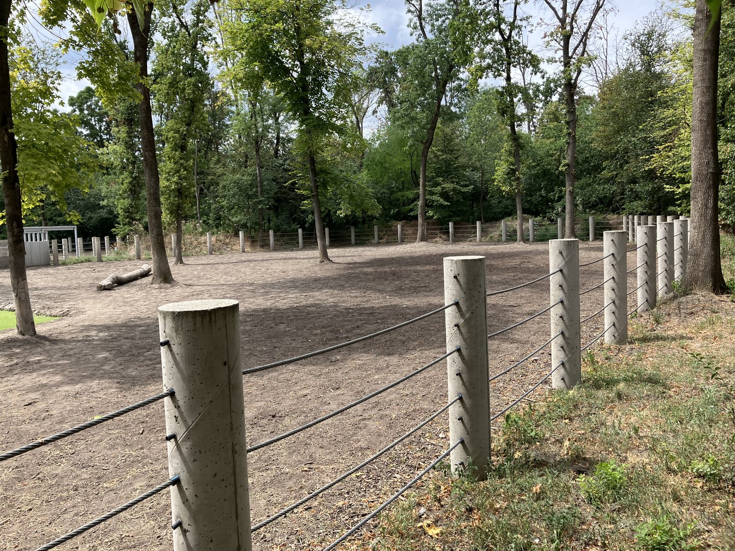 Indian rhino paddock-part 2