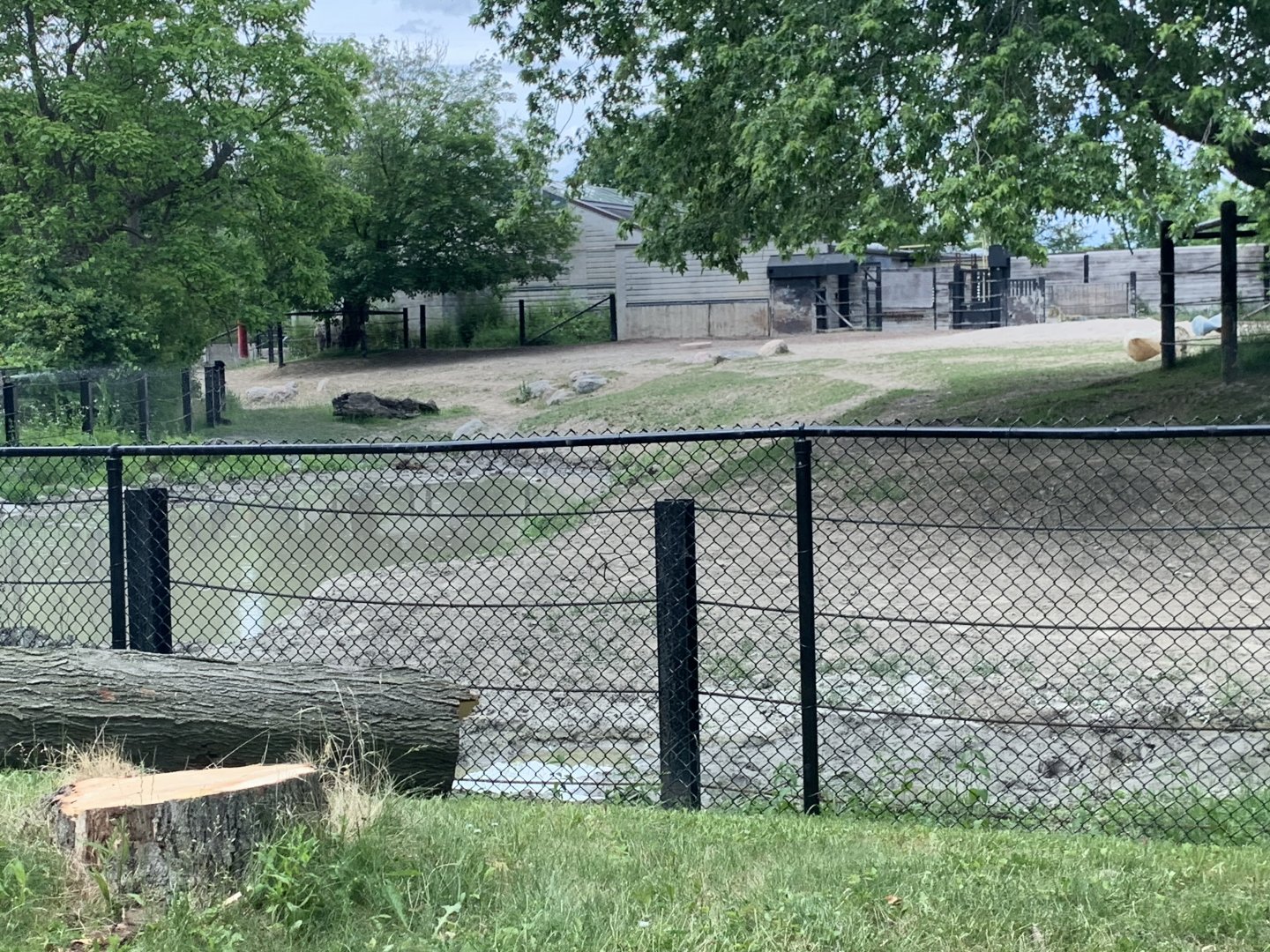 Indian Rhino Paddock (photo one)