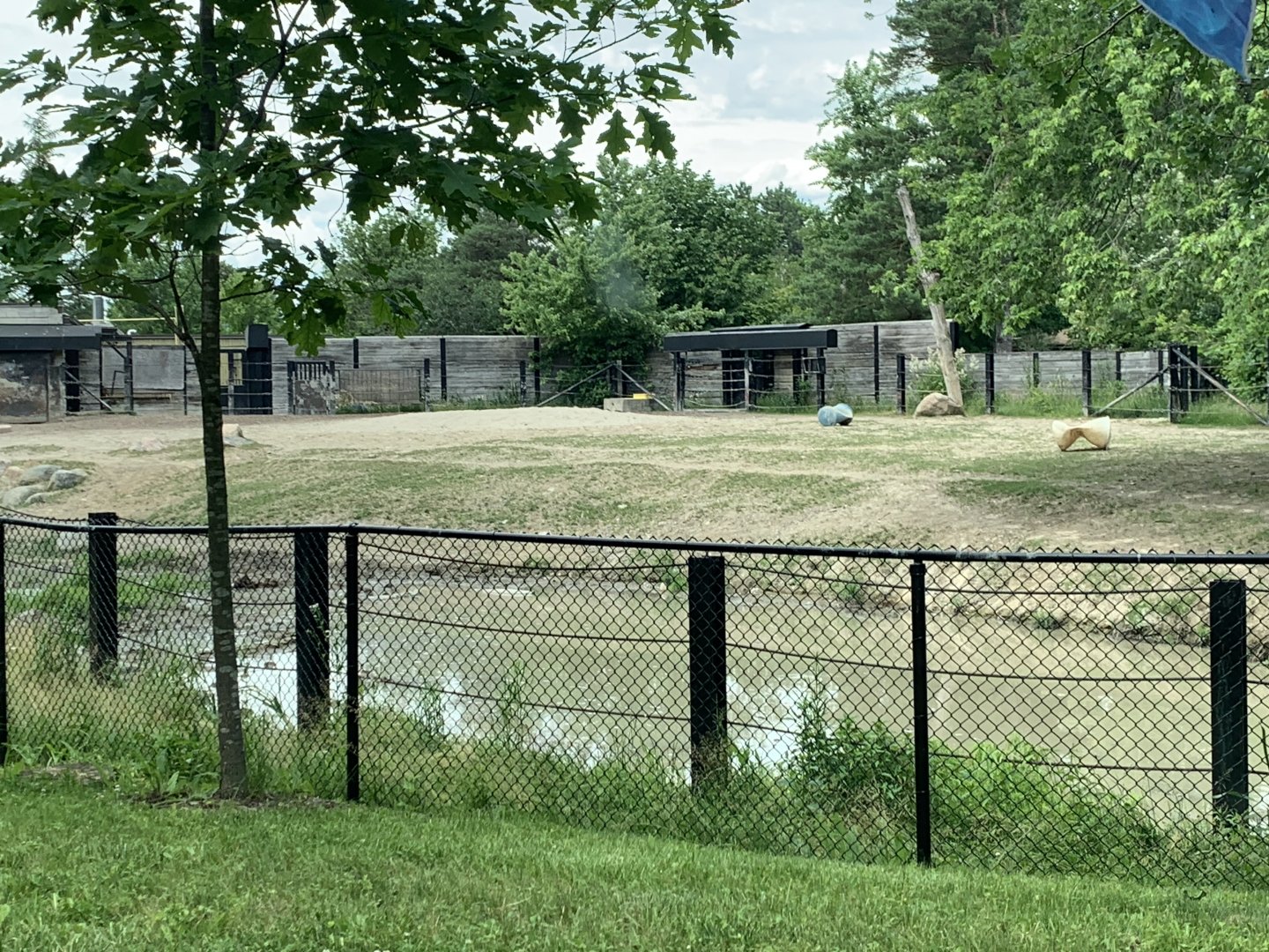 Indian Rhino paddock (photo two)