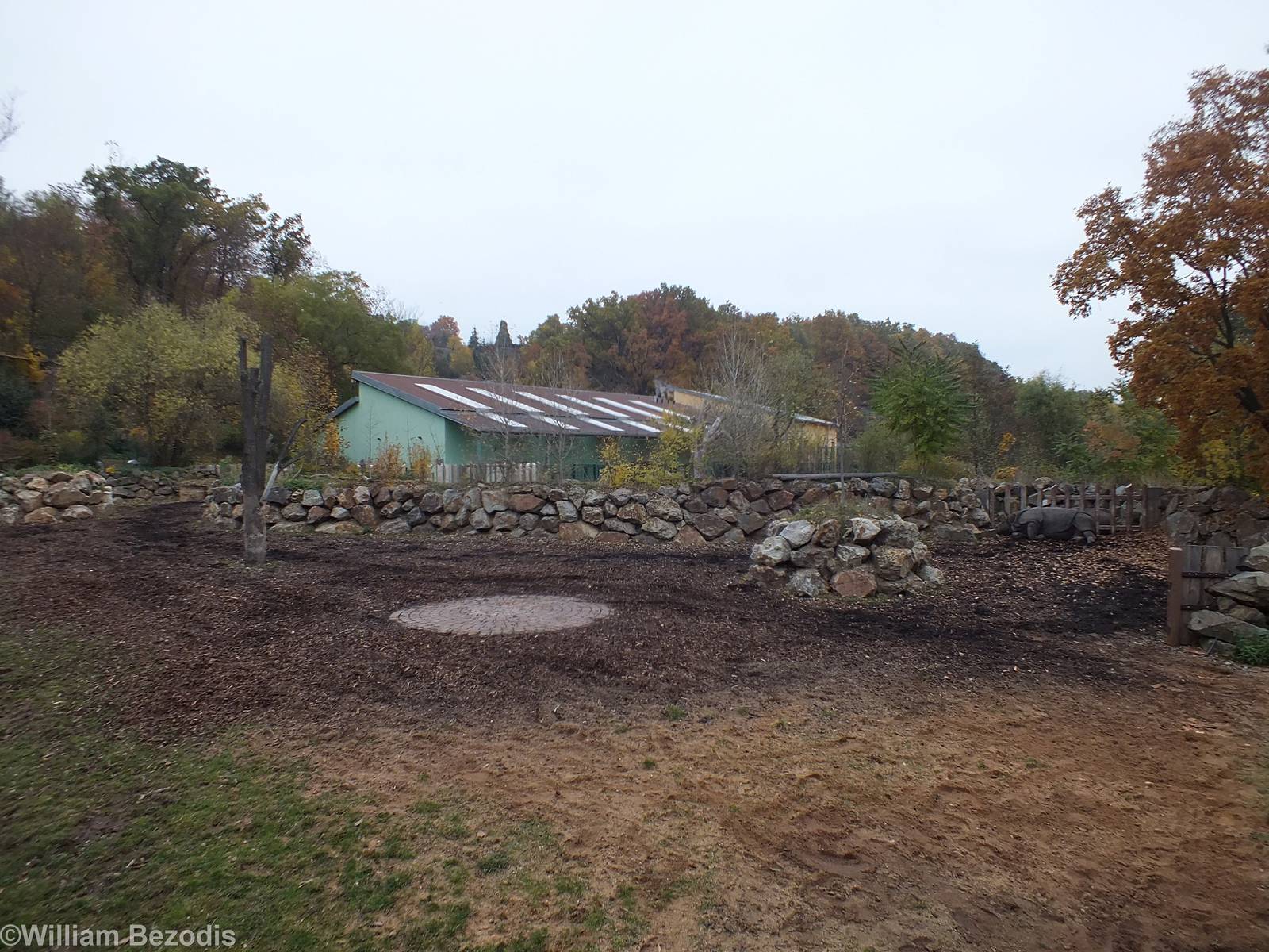 Indian Rhino Paddock