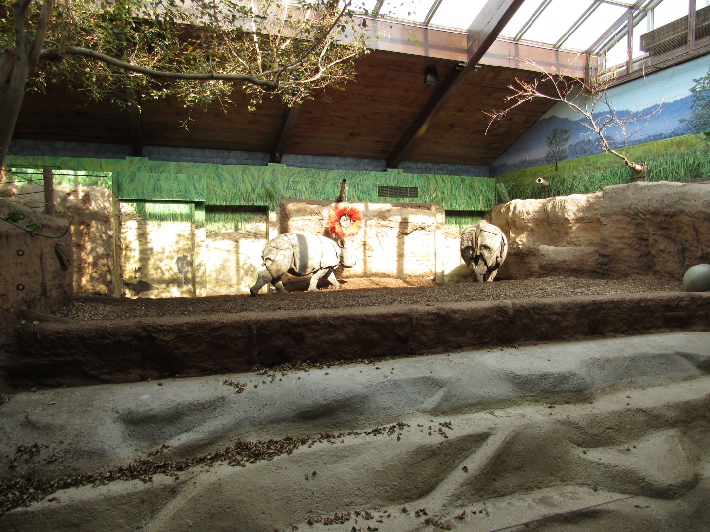 Indian Rhino Pavilion Ashakiran & Nandu