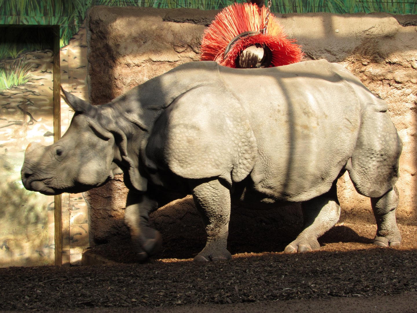 Indian Rhino Pavilion Ashakiran