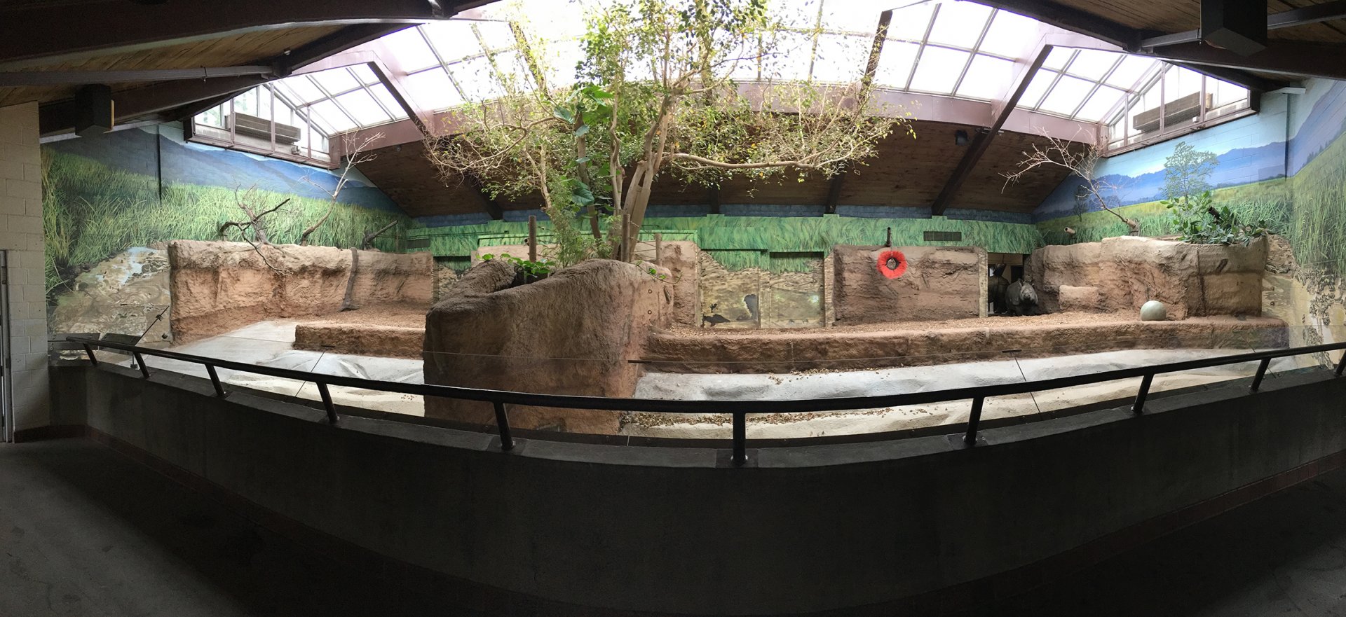 Indian Rhino Pavilion Indoor Viewing