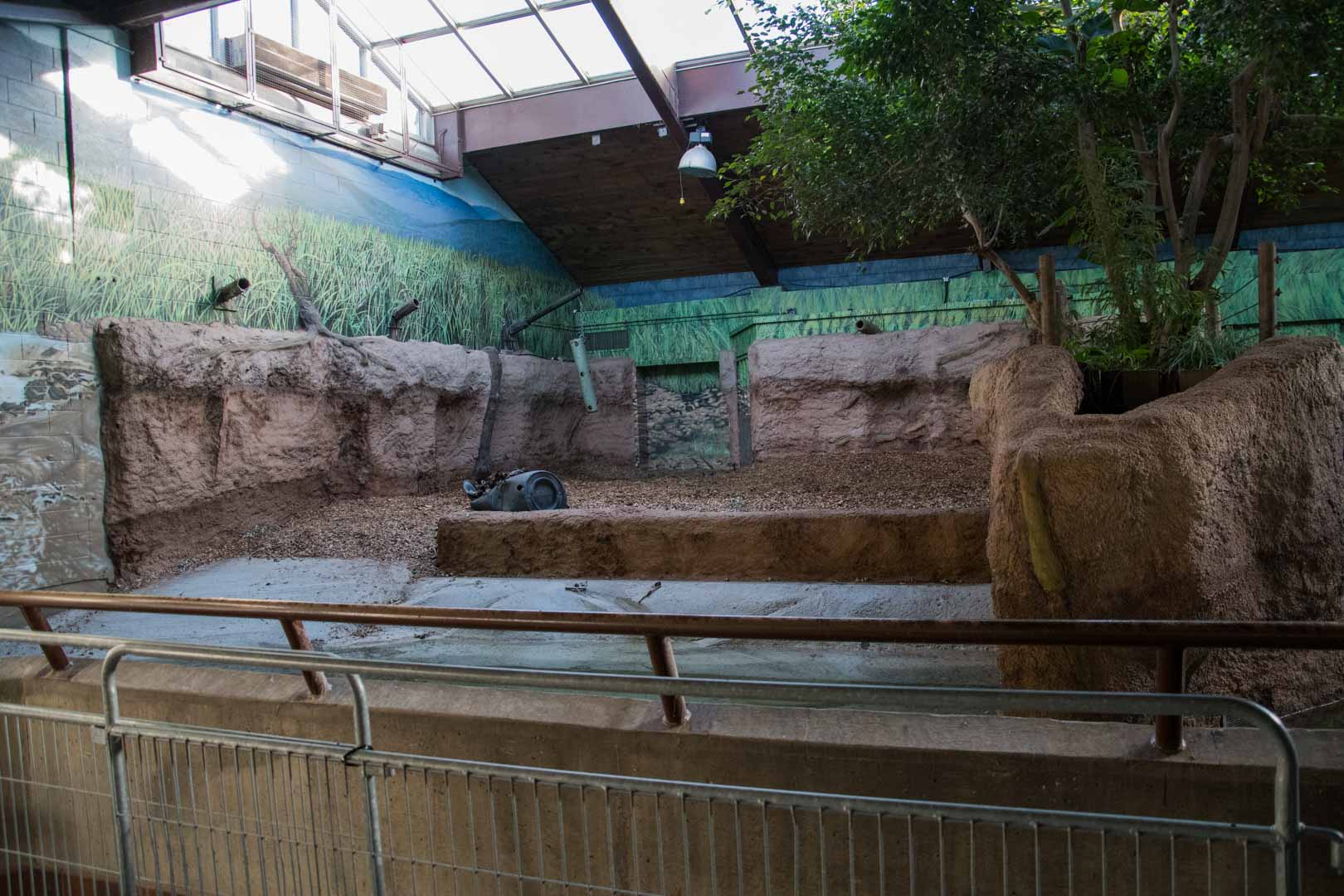 Indian Rhino Pavilion Reno (Left Side)