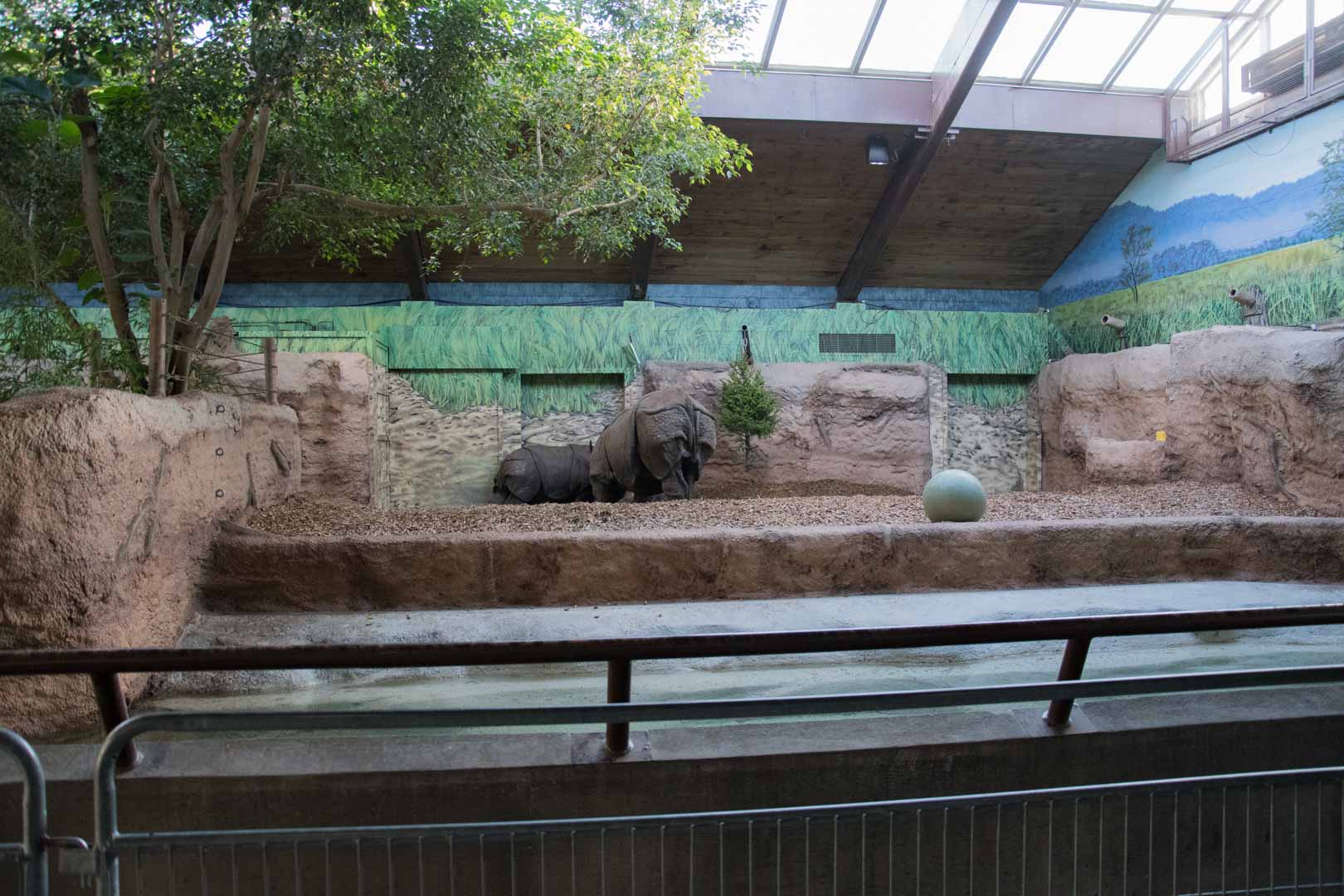 Indian Rhino Pavilion (Right Side)