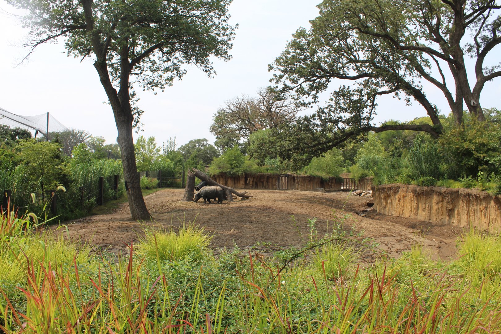 Indian Rhino & Père David's Deer Exhibit - Asian Highlands
