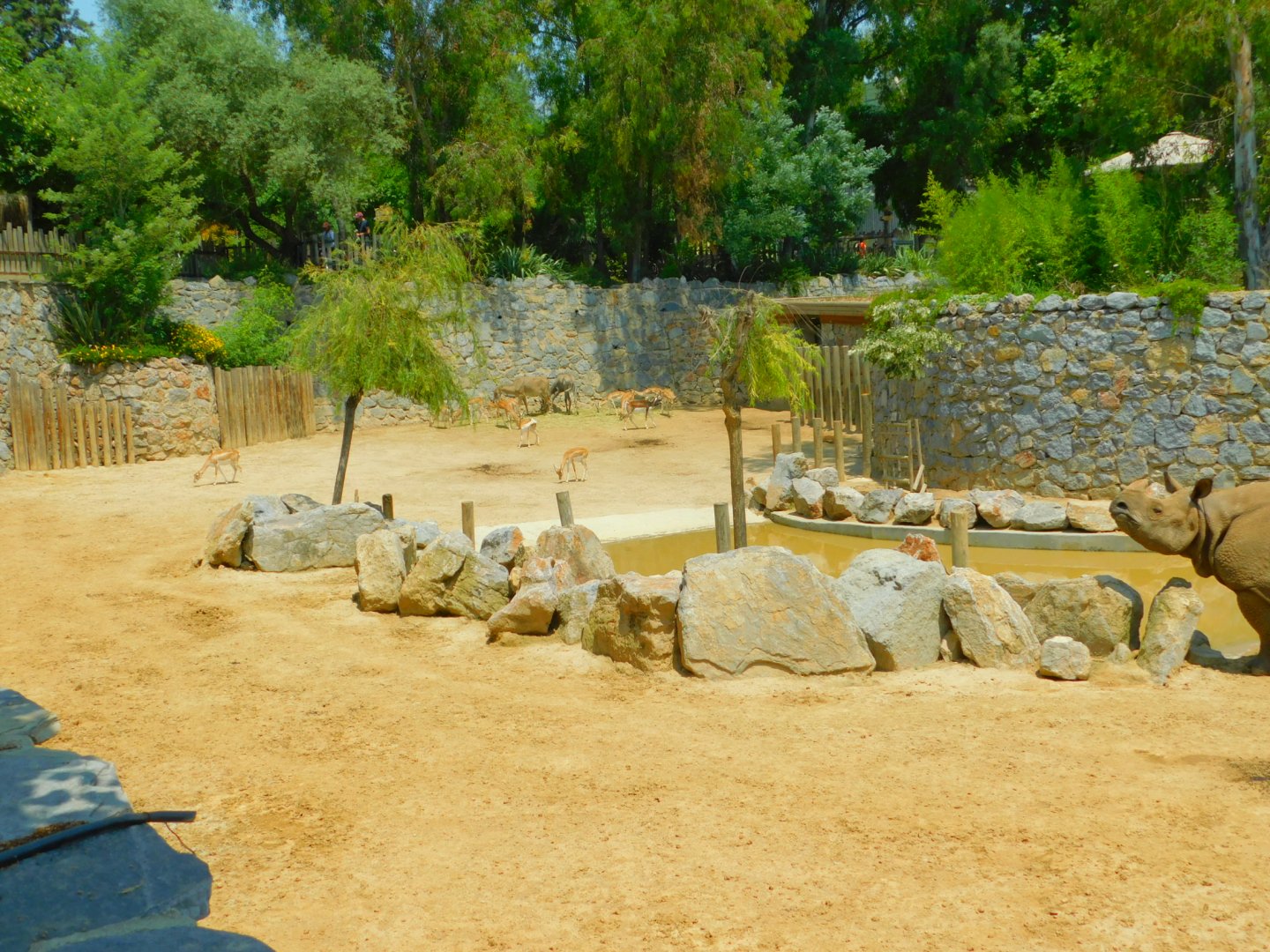 Indian rhino second pen