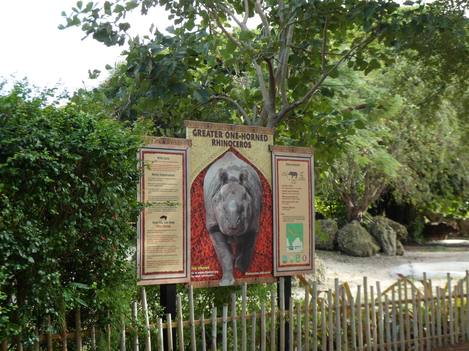 Indian Rhino Sign