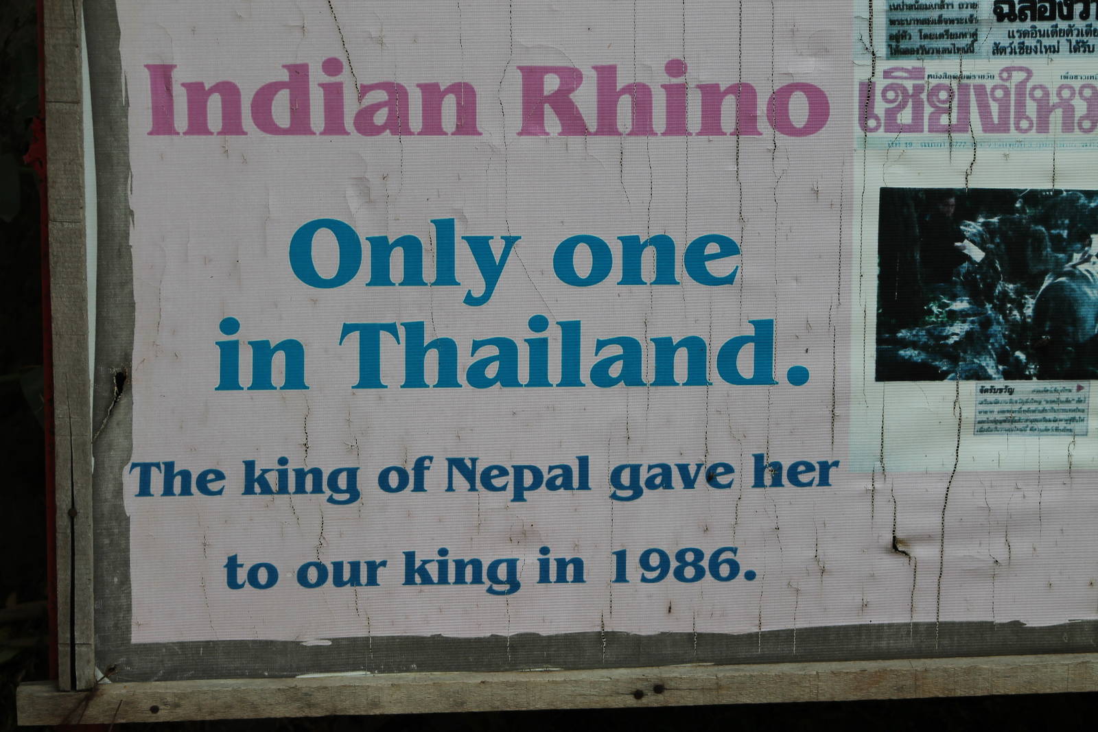 Indian rhino sign
