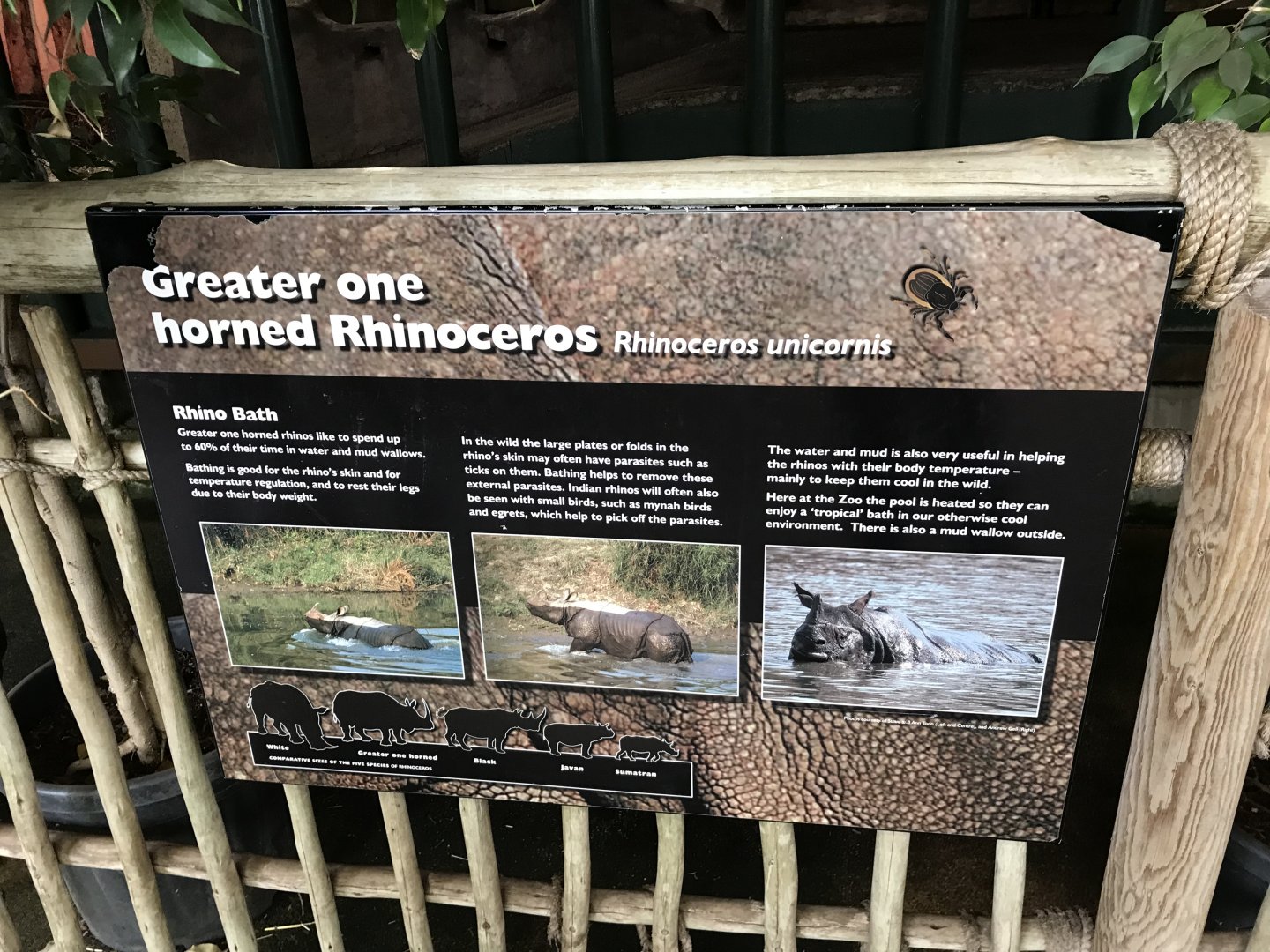 Indian rhino signage