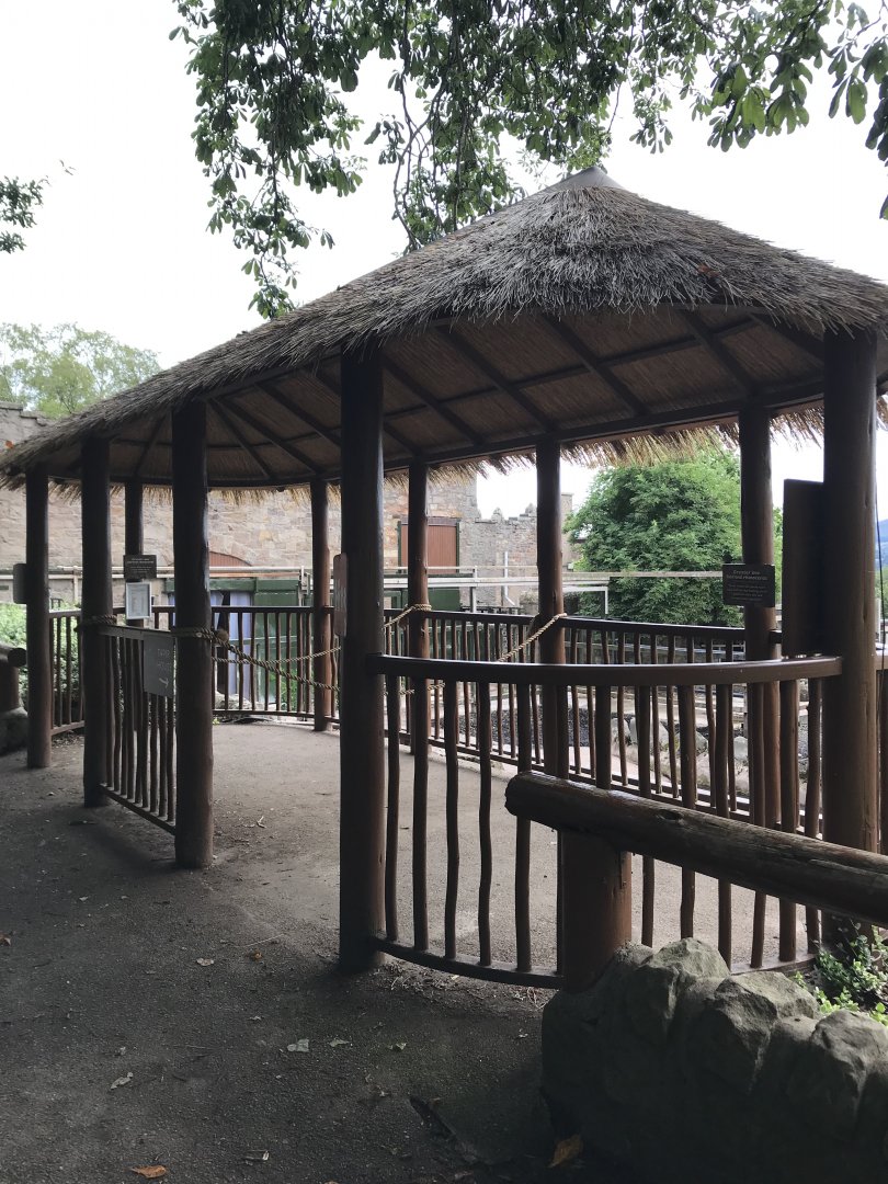 Indian rhino top viewing hut