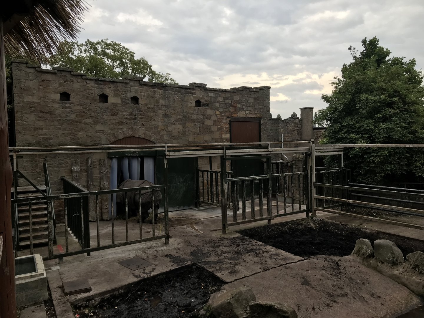 Indian rhino upper house