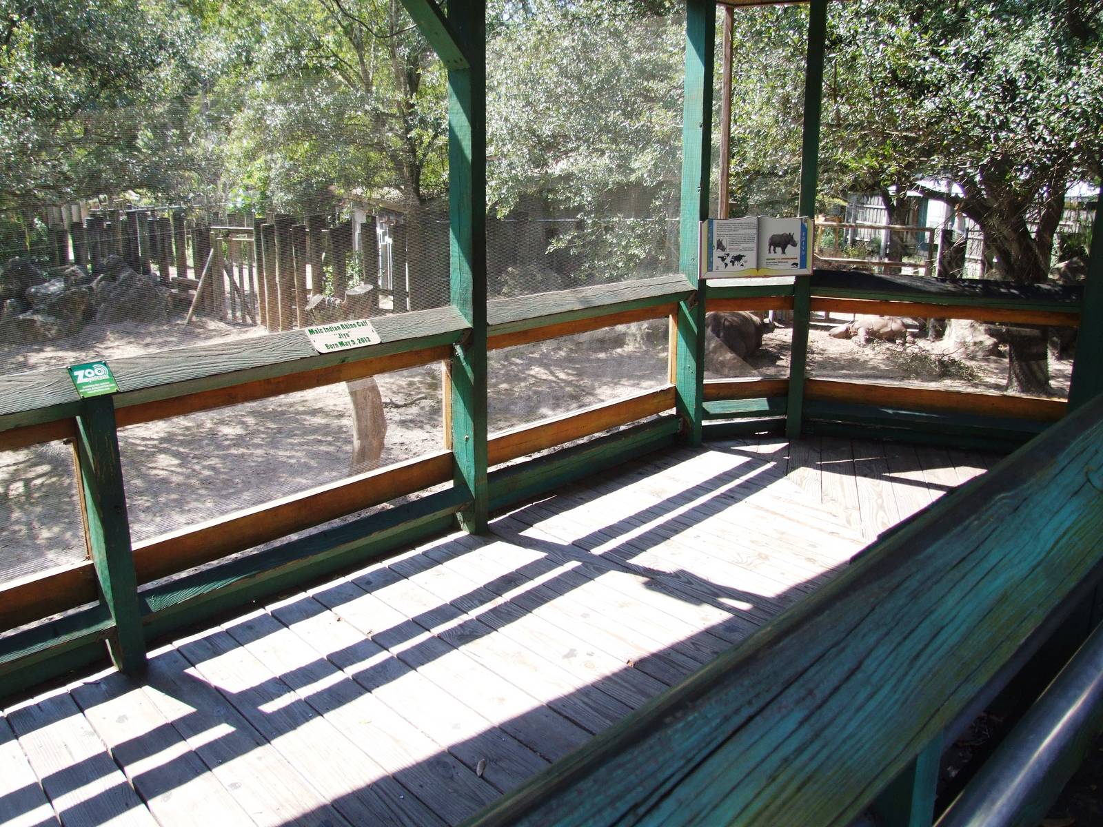 Indian Rhino Viewing at Lowry Park, 13/10/13