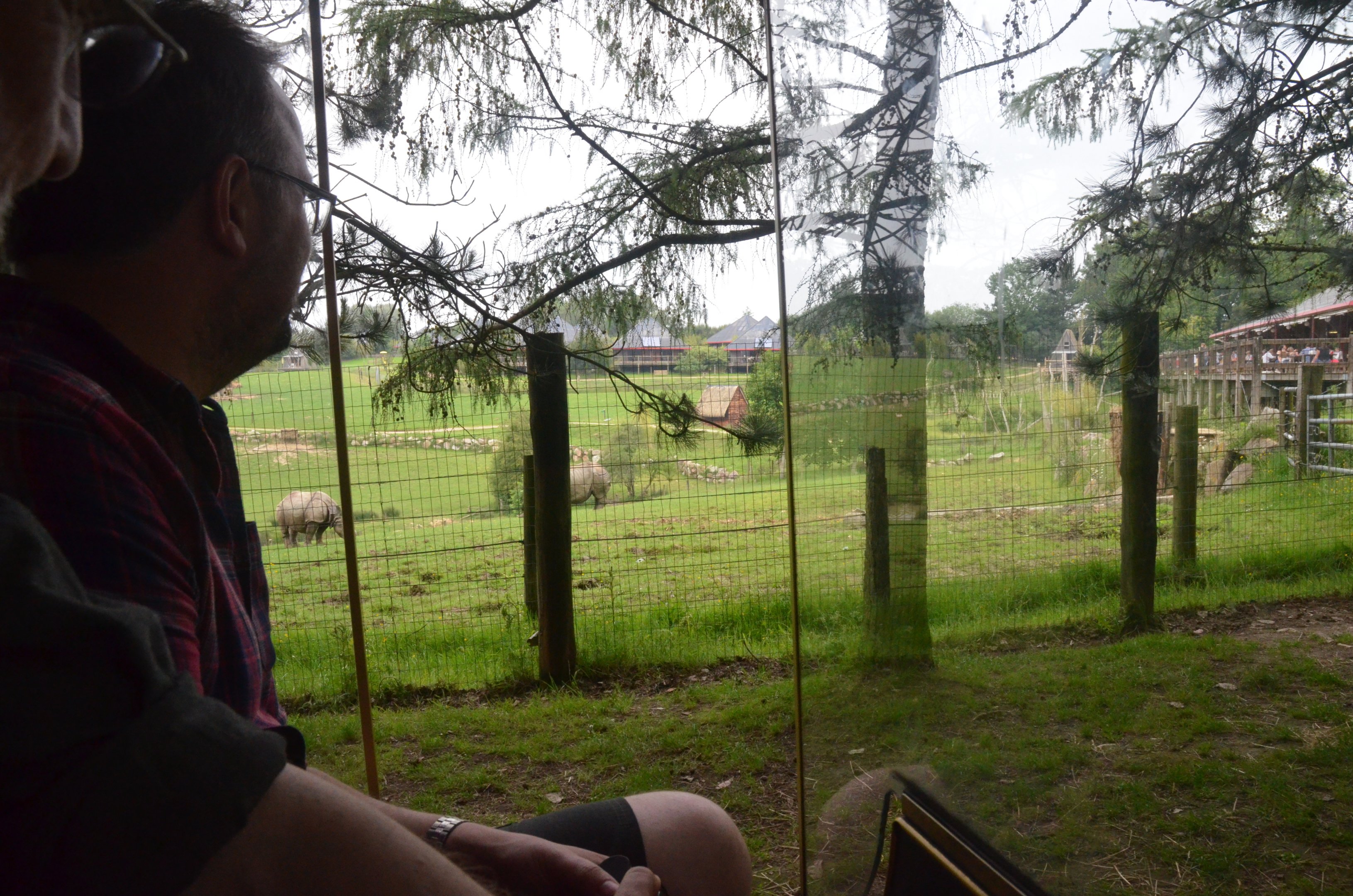 Indian Rhino Viewing from Road Train at CERZA, 10/06/18