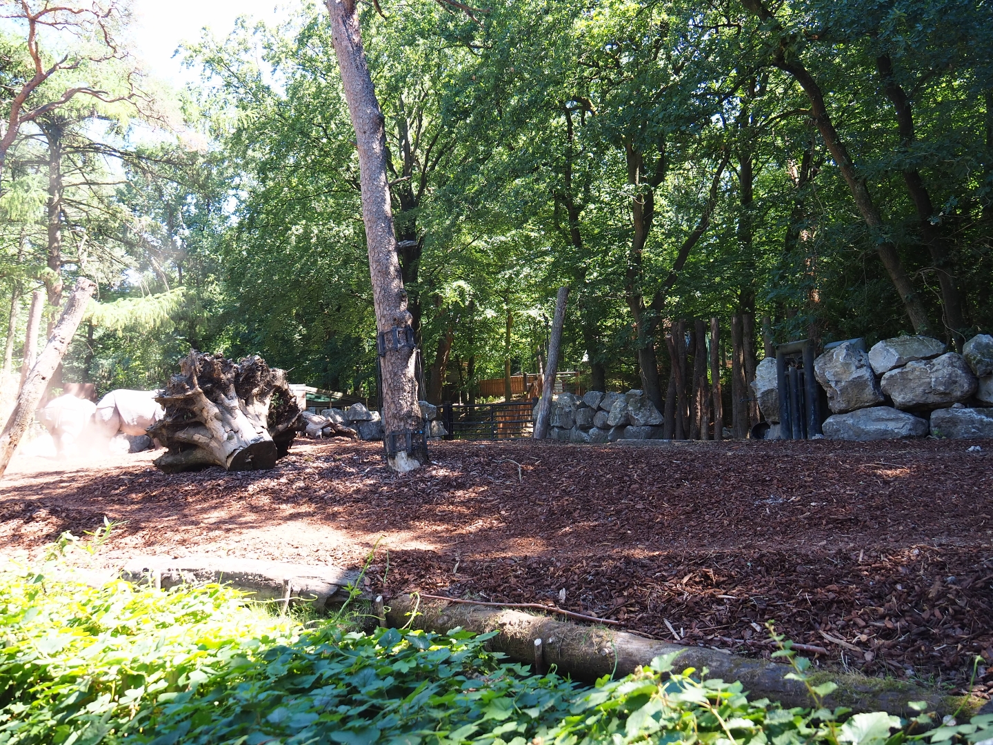 Indian rhinocero exhibit