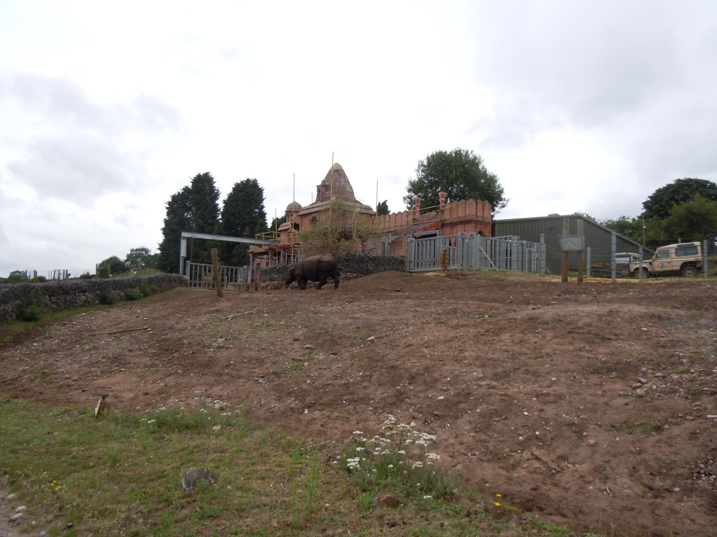 Indian Rhinoceros 130720