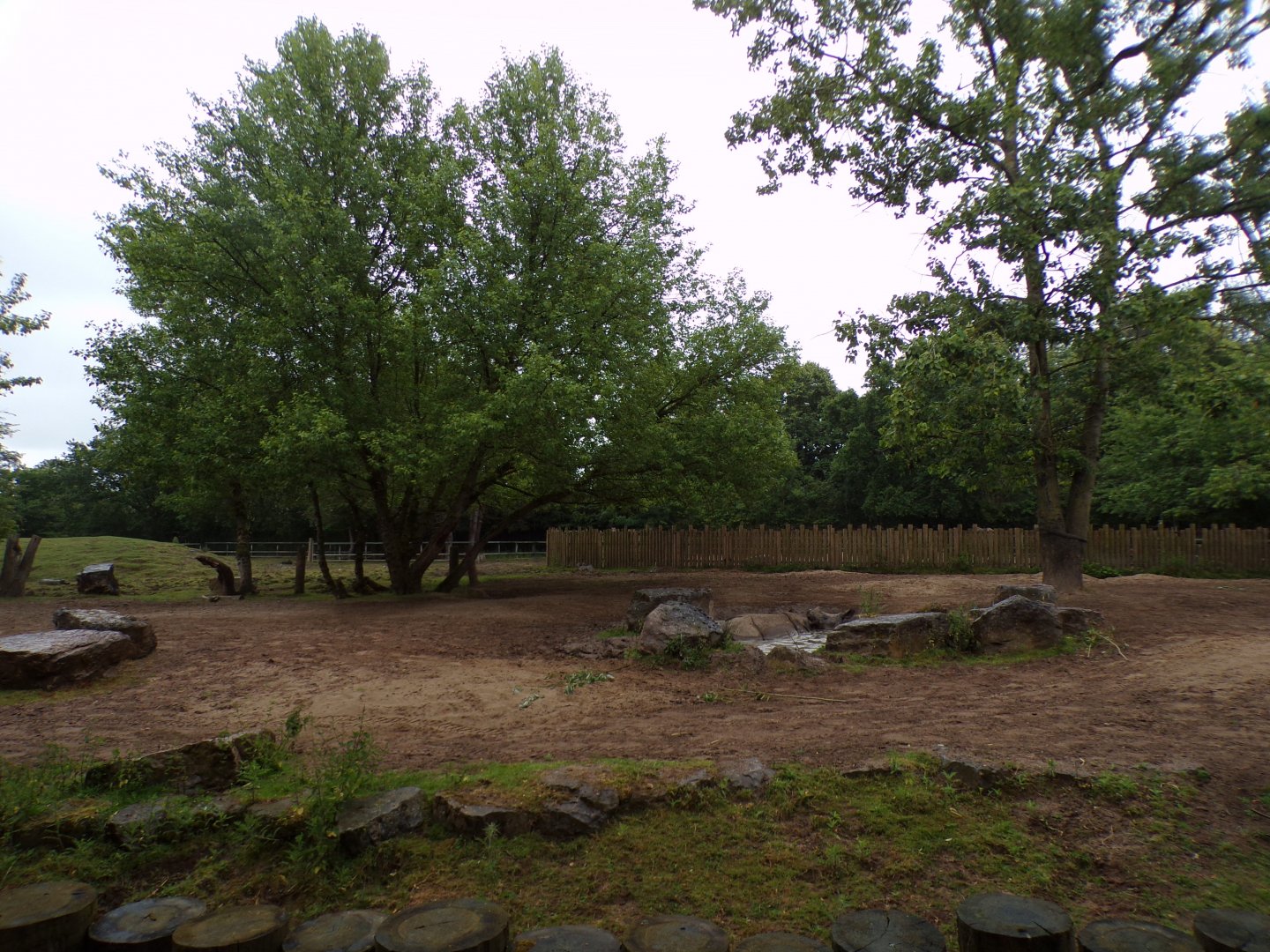 Indian rhinoceros and Brow-antelered deer enclosure 29.6.24