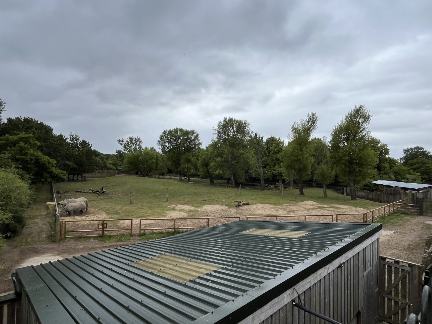 Indian rhinoceros and brow-antlered deer enclosure 29.6.24