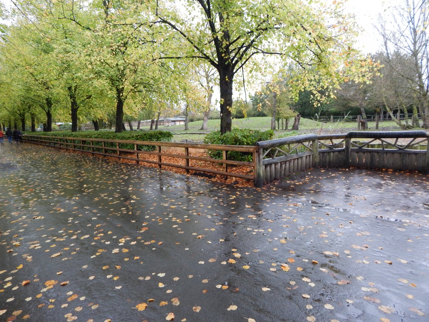 Indian rhinoceros and Myanmar thamin enclosure 191021