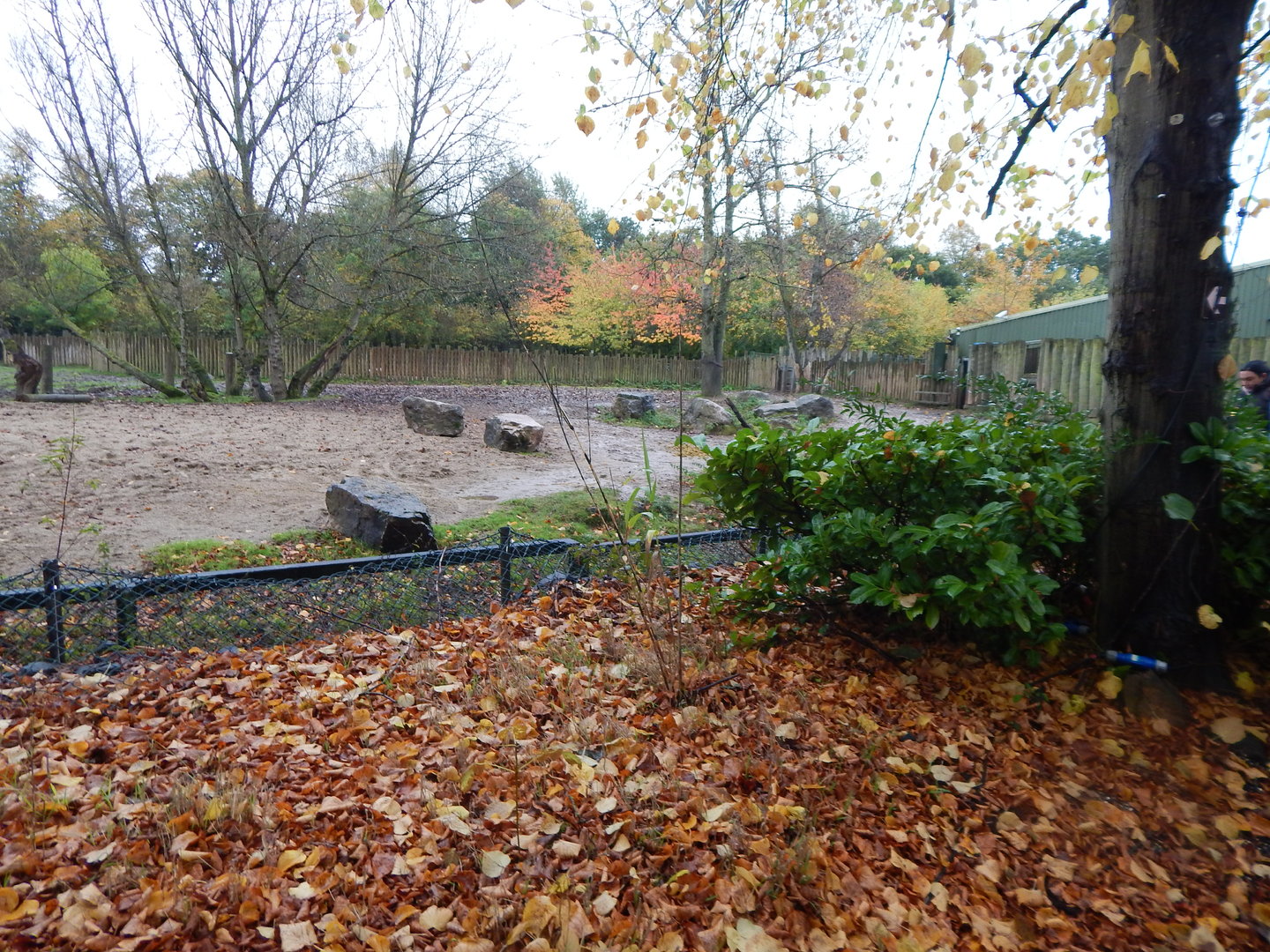 Indian rhinoceros and Myanmar thamin enclosure 221022