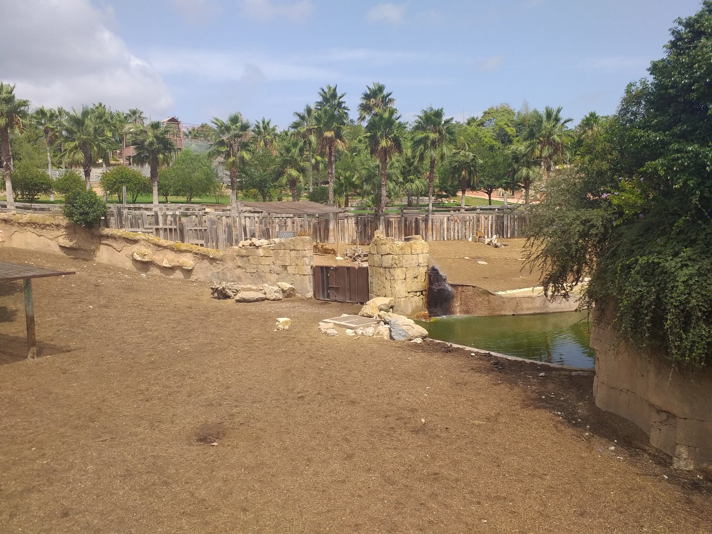 Indian rhinoceros and Nilgai exhibit -TerraNatura Benidorm (2021)