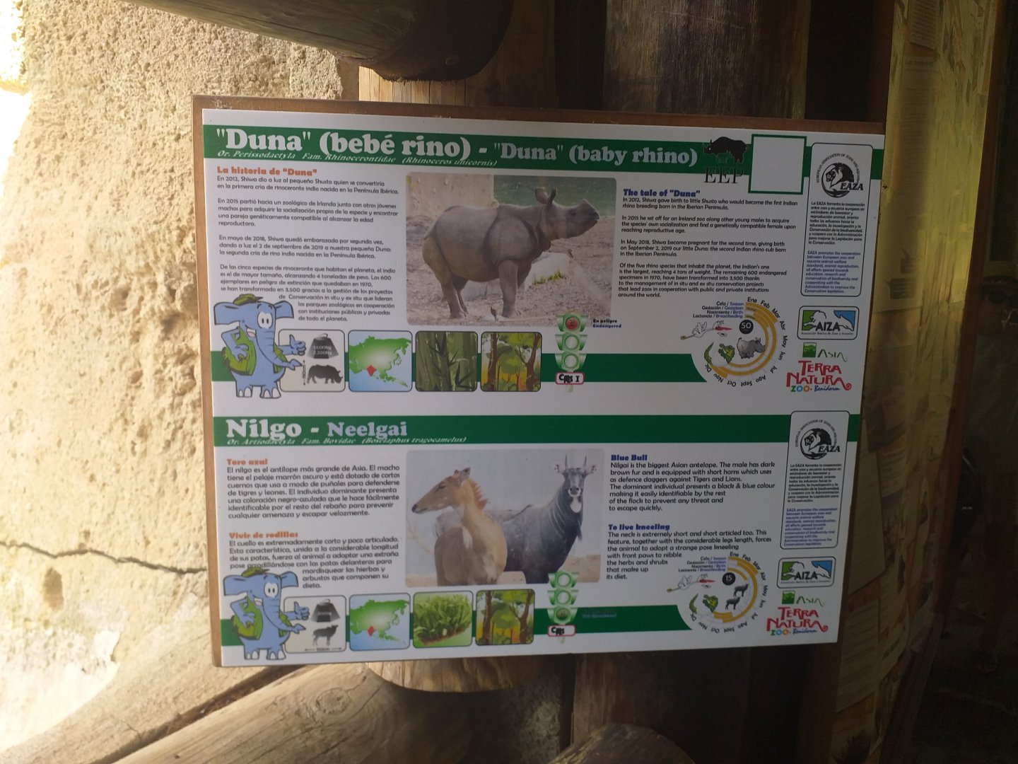 Indian rhinoceros and Nilgai signae -TerraNatura Benidorm (2021)