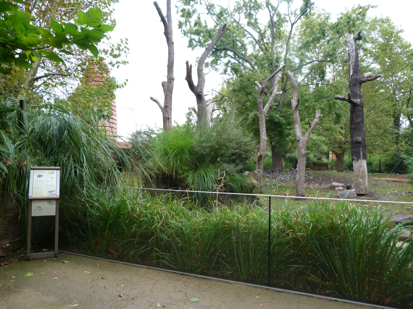 Indian rhinoceros and Visayan warty pig exhibit -Zoologischer Garten Berlin (2024)