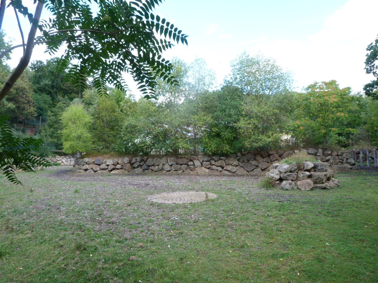 Indian rhinoceros, Blackbuck and Javan rusa exhibit -Zoo Plzeň (2025)