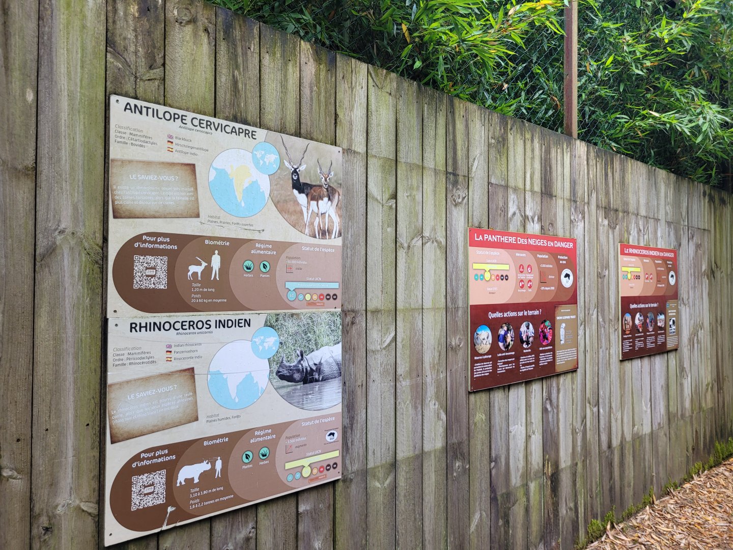 Indian rhinoceros, Blackbuck and Snow leopard signs -Zoo du bassin d'Arcachon (2024)