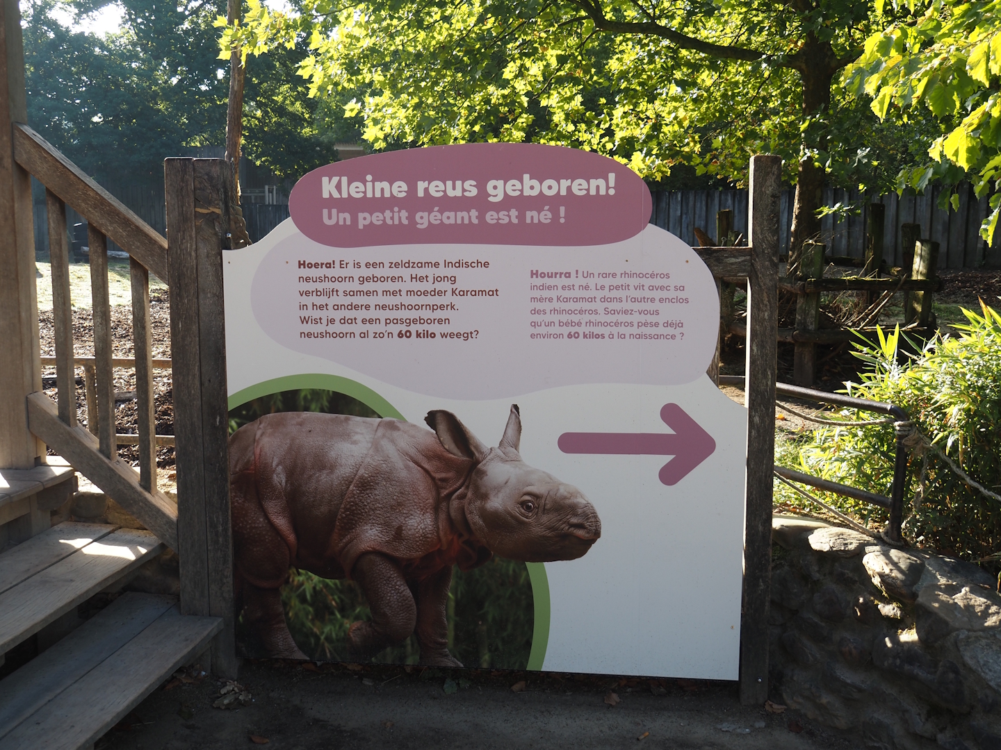 Indian rhinoceros calf sign, 2025-09-06