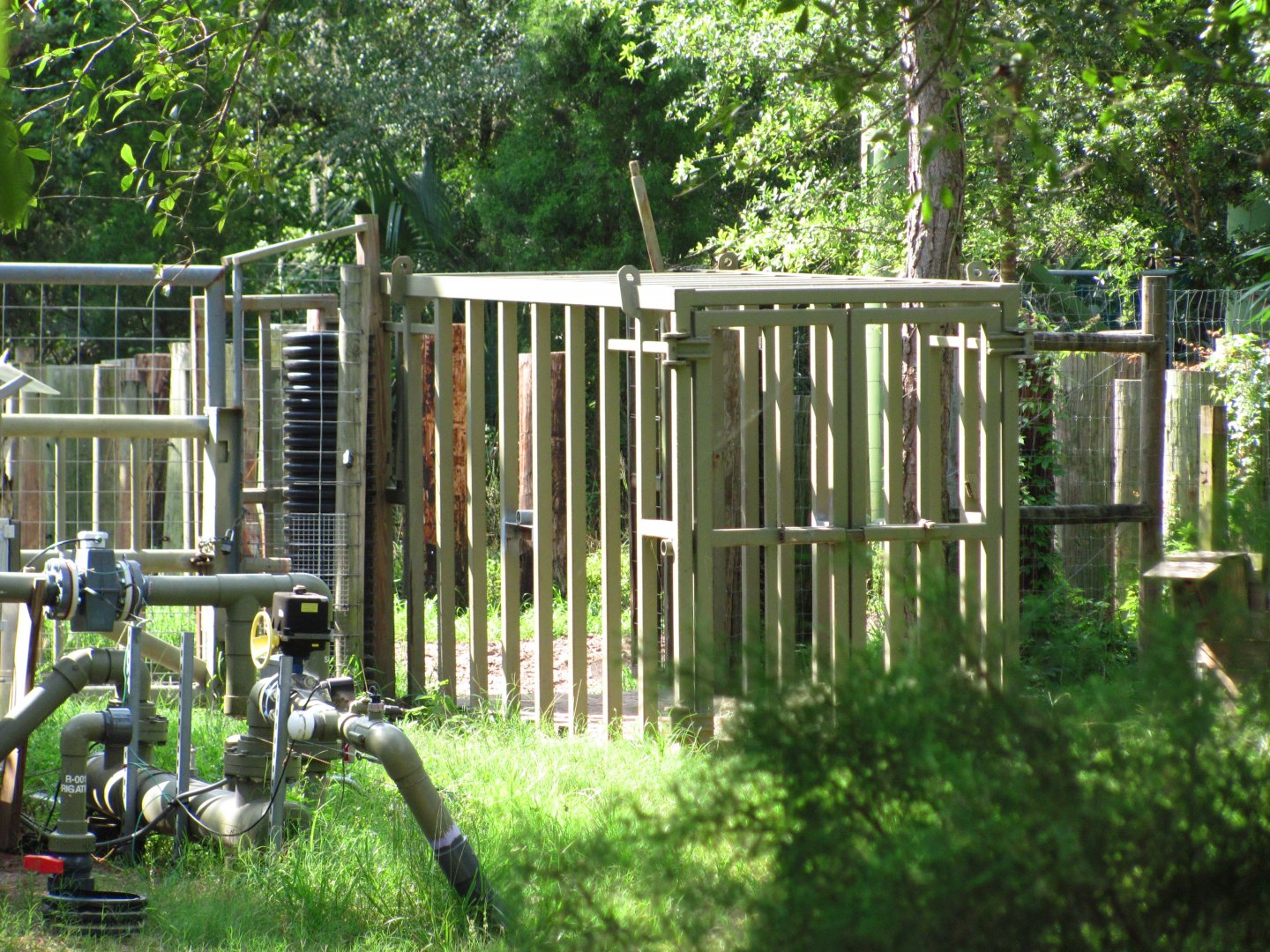 Indian Rhinoceros Crate