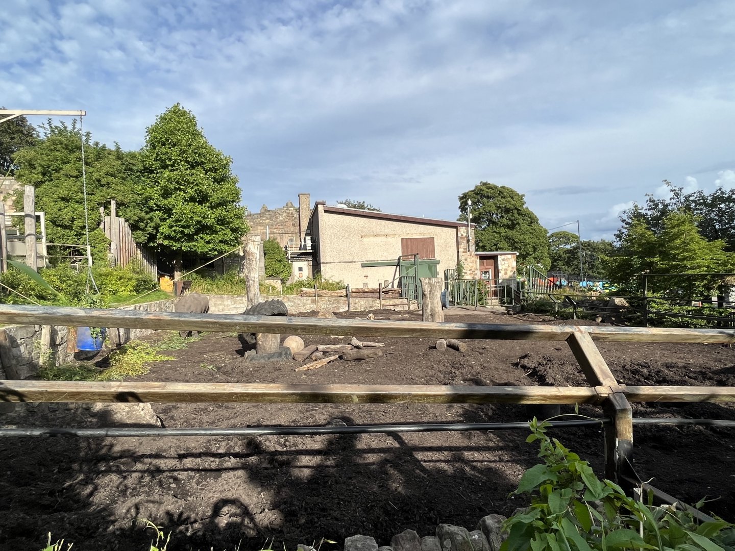 Indian rhinoceros enclosure 14.8.23