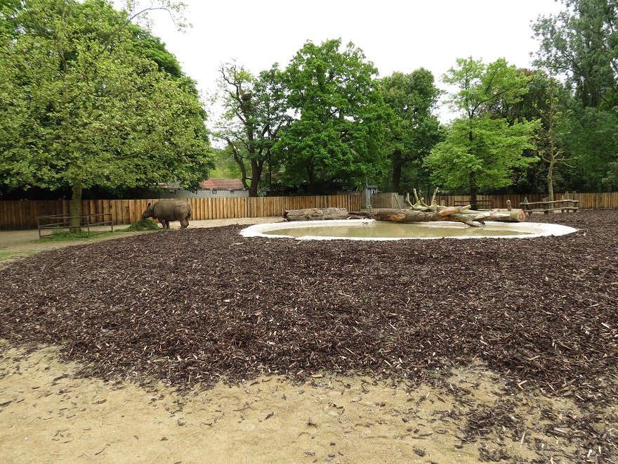 Indian Rhinoceros Enclosure