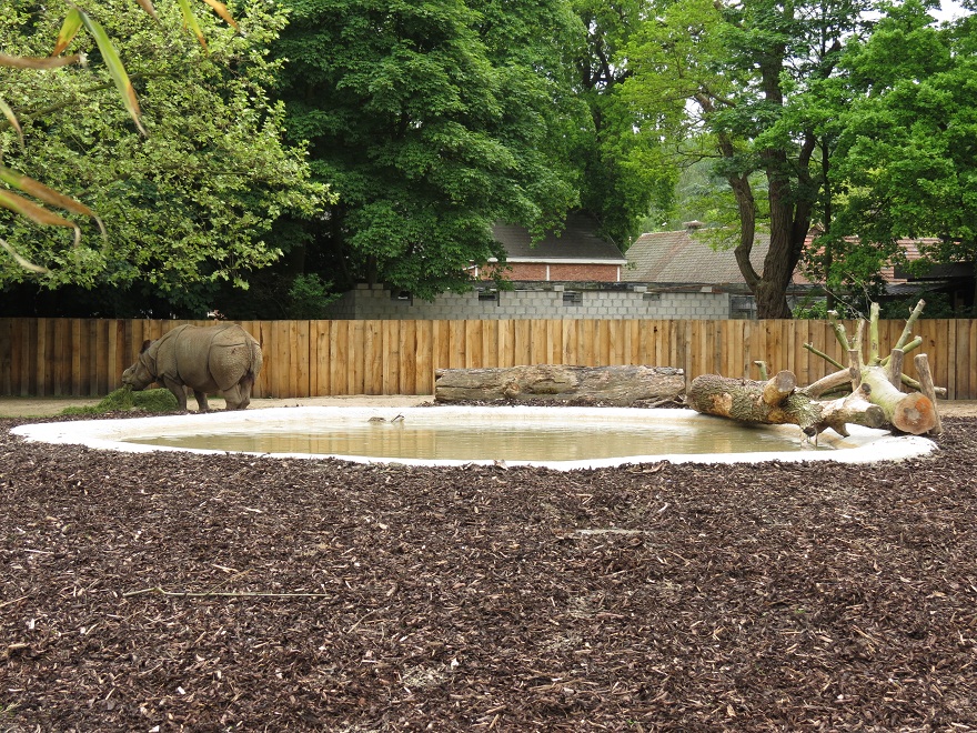 Indian Rhinoceros Enclosure