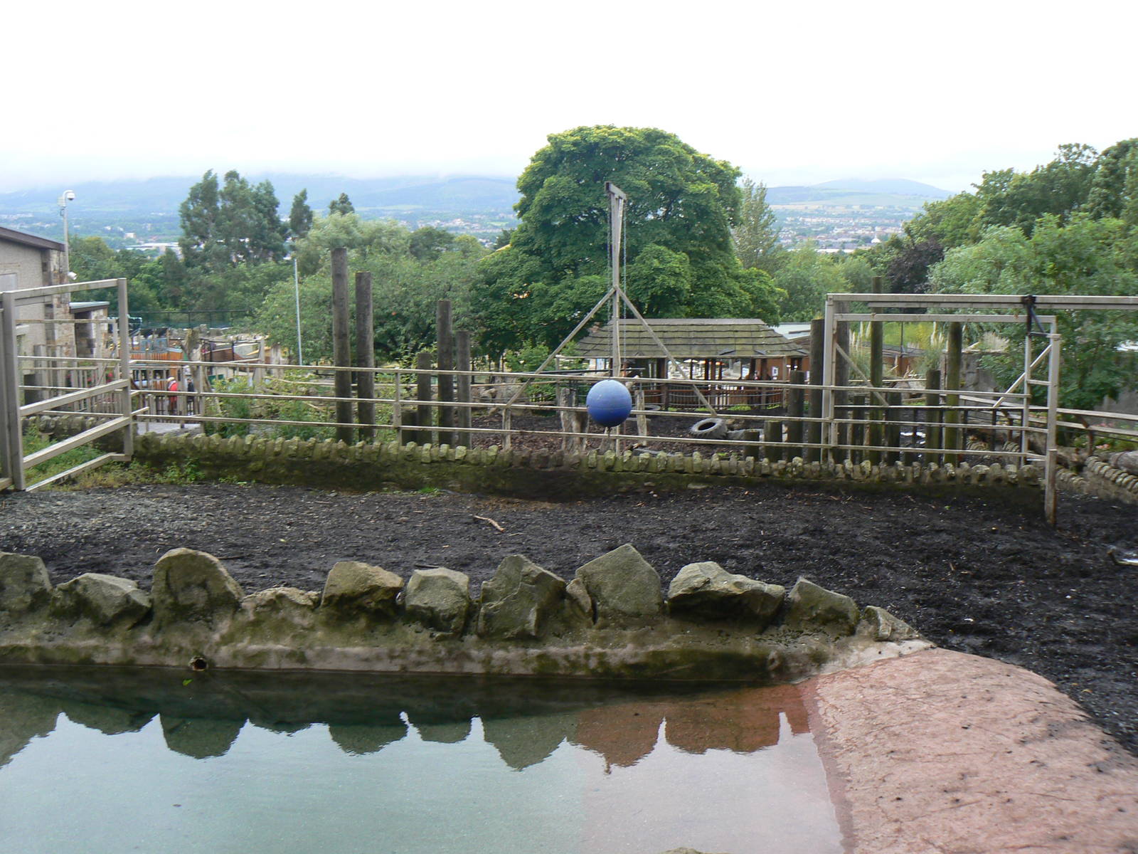Indian Rhinoceros Enclosure