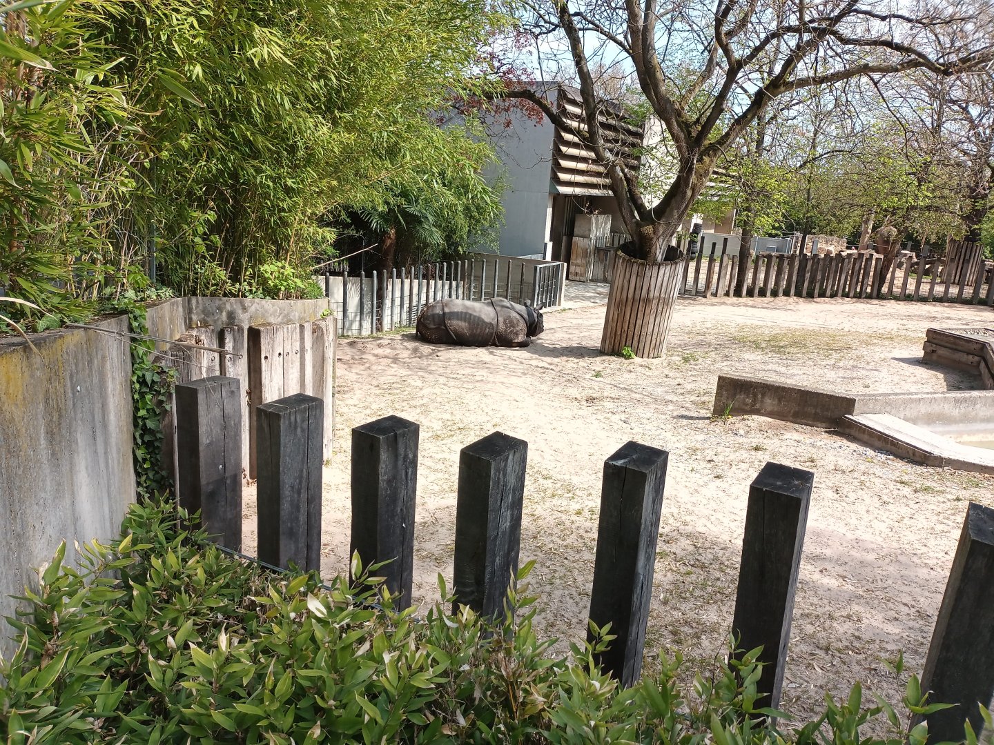 Indian Rhinoceros Enclosure