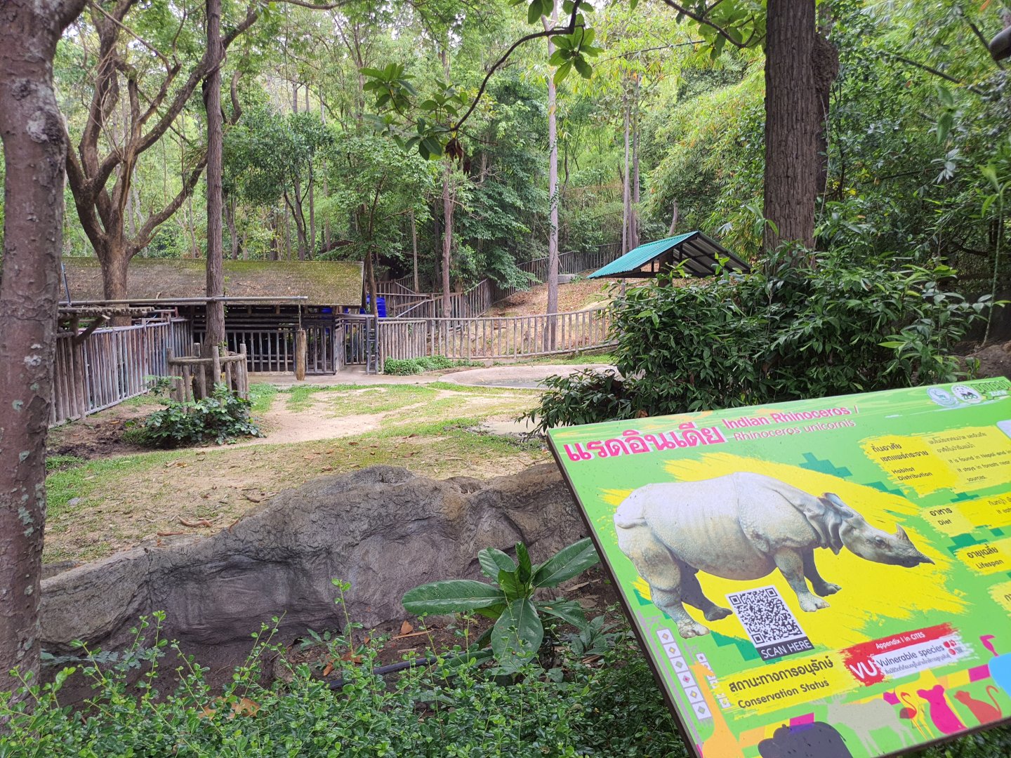 Indian Rhinoceros Enclosure