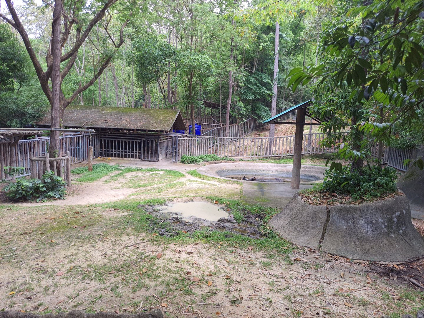 Indian Rhinoceros Enclosure