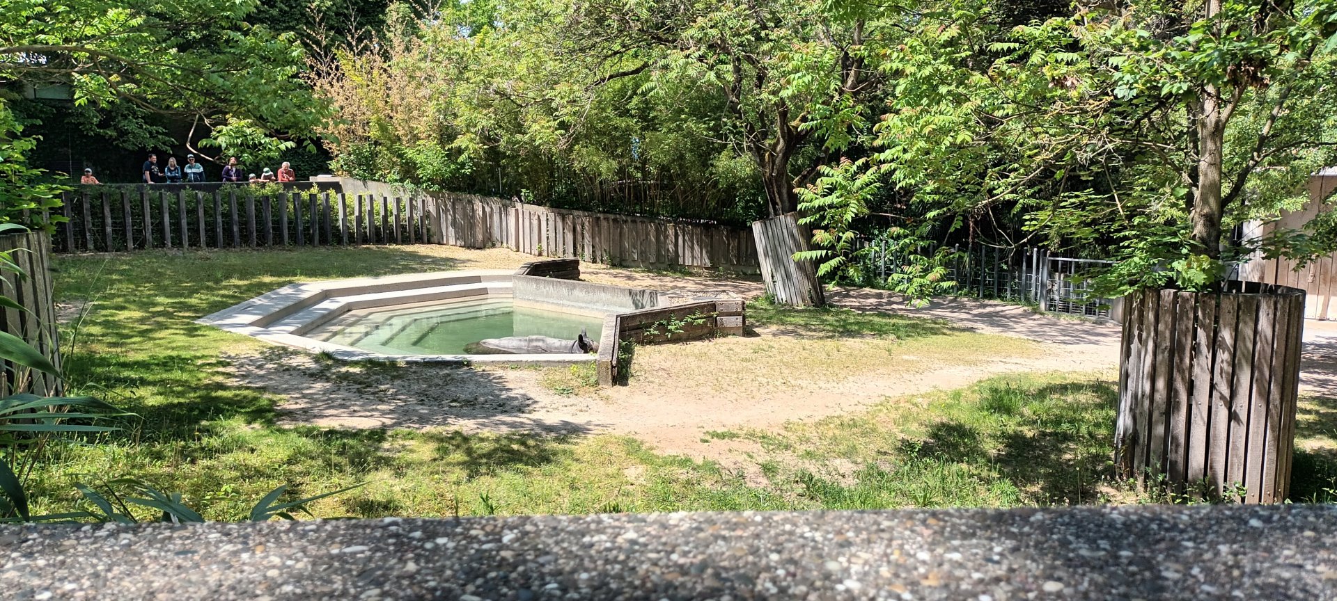 Indian Rhinoceros Enclosure
