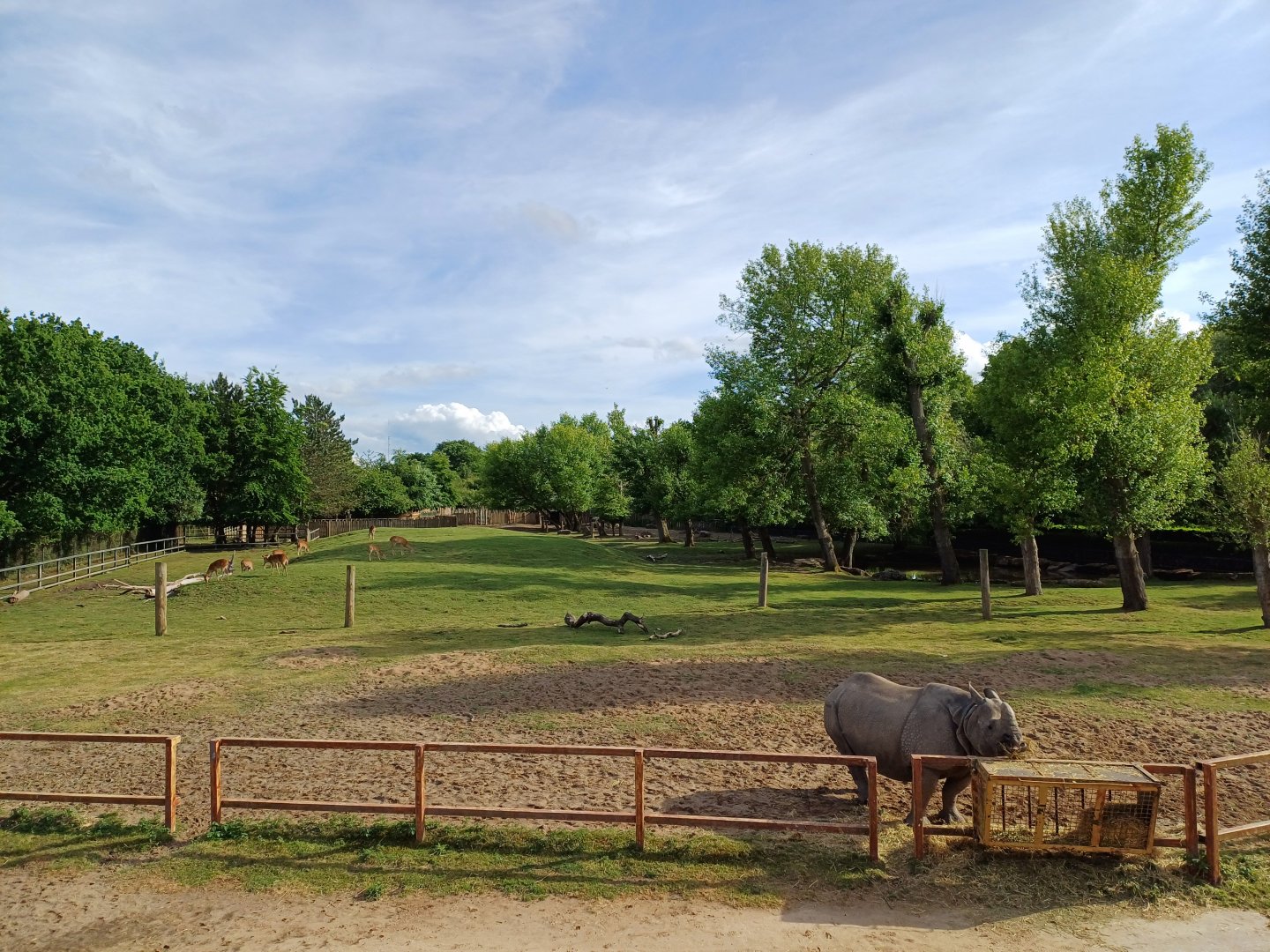 Indian Rhinoceros- Enclosure