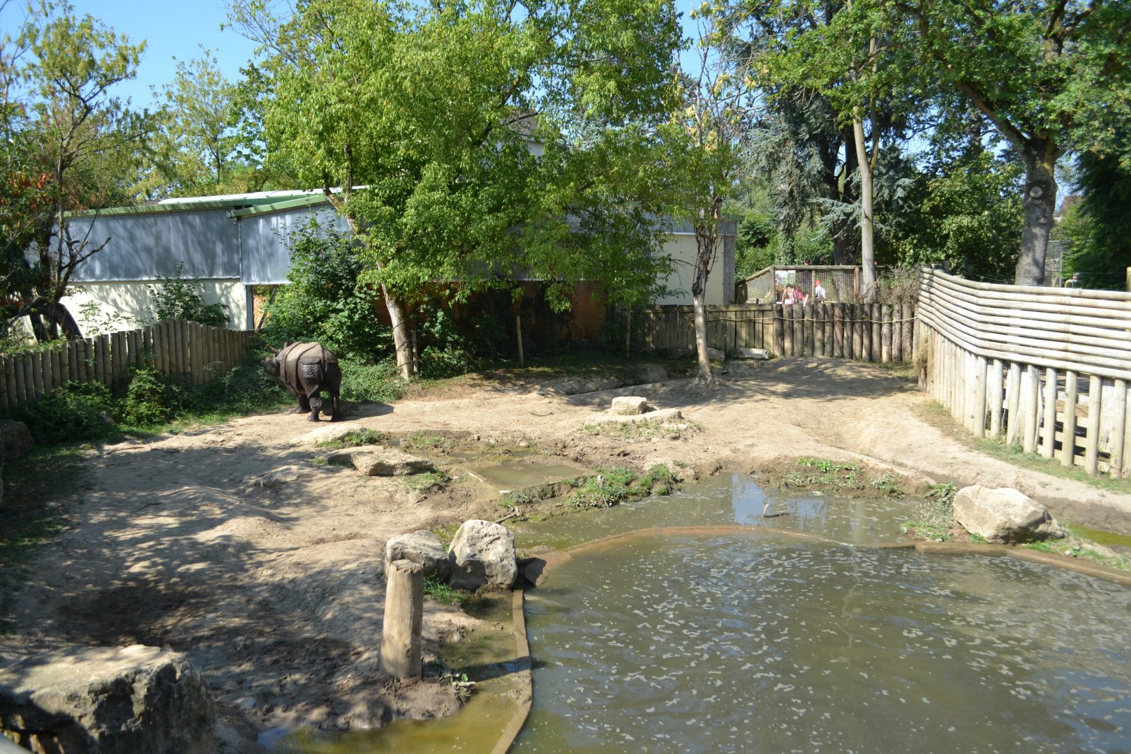 Indian rhinoceros exhibit 2018