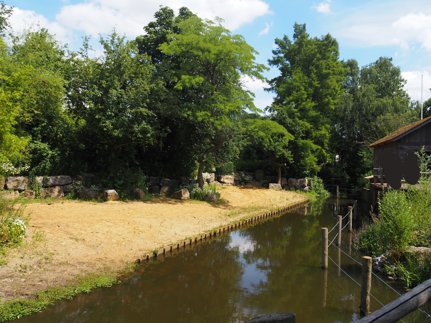Indian rhinoceros exhibit, 2024-06-30