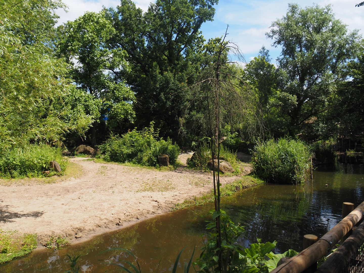 Indian rhinoceros exhibit, 2024-06-30