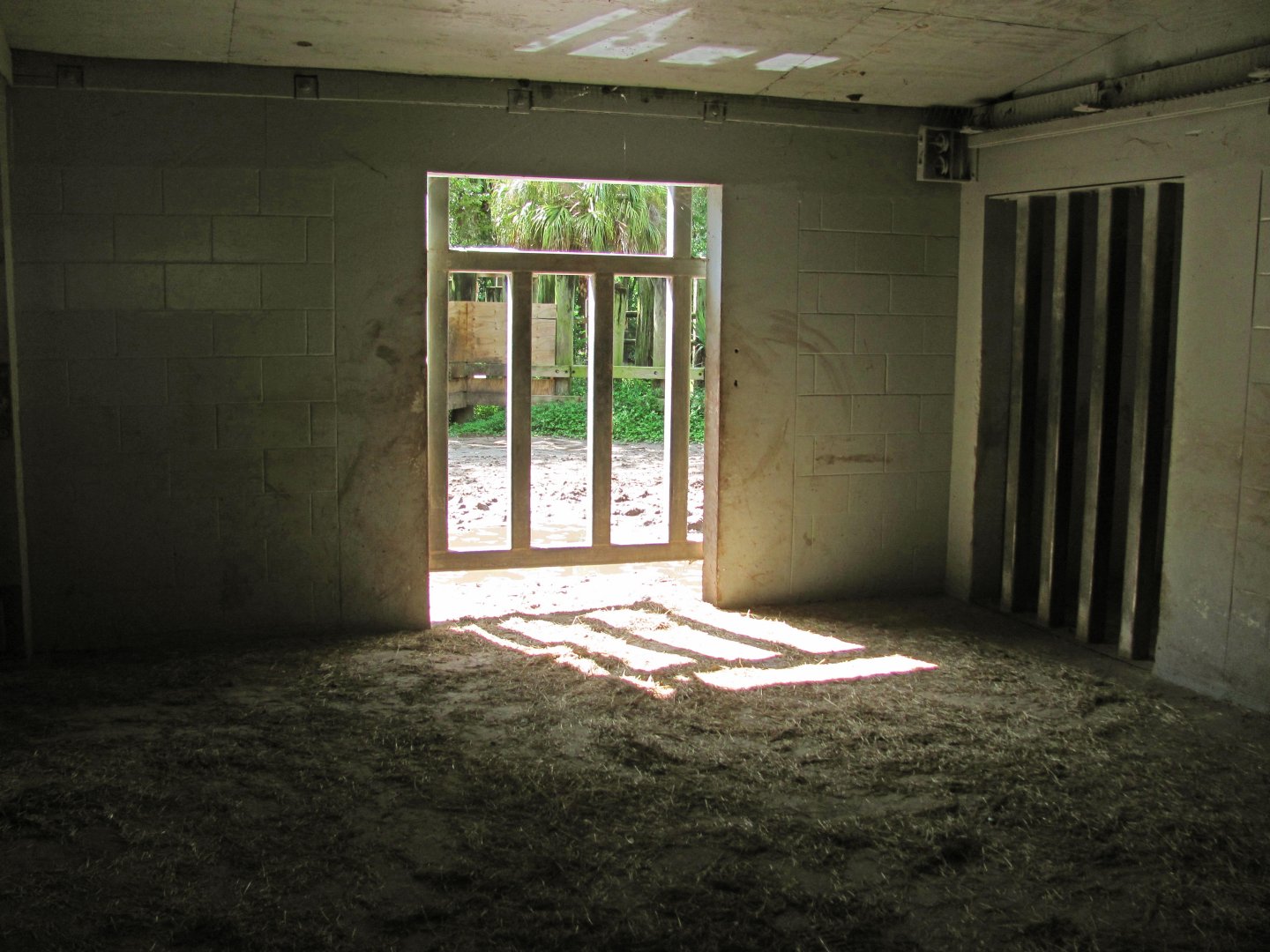 Indian Rhinoceros Exhibit Barn Stall