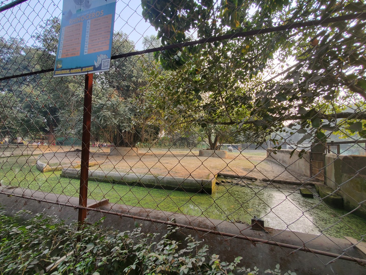 Indian Rhinoceros Exhibit - January 2023